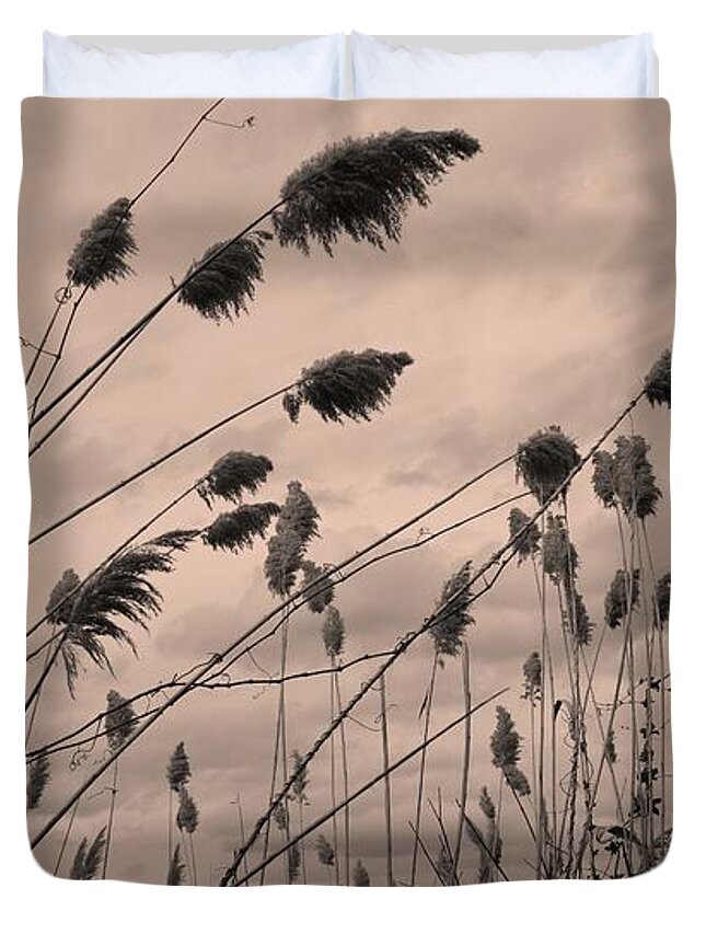 Barrieloustark Duvet Cover featuring the photograph Reeds Waving by Barrie Stark