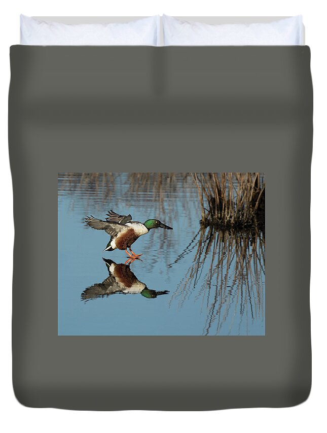 Duck Duvet Cover featuring the photograph Reflection Connection by Art Cole