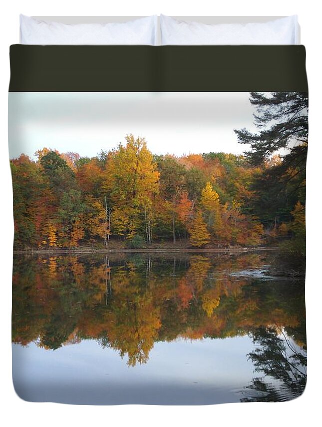 Landscape Duvet Cover featuring the photograph Reflections at Boughton Park by Patricia Overmoyer