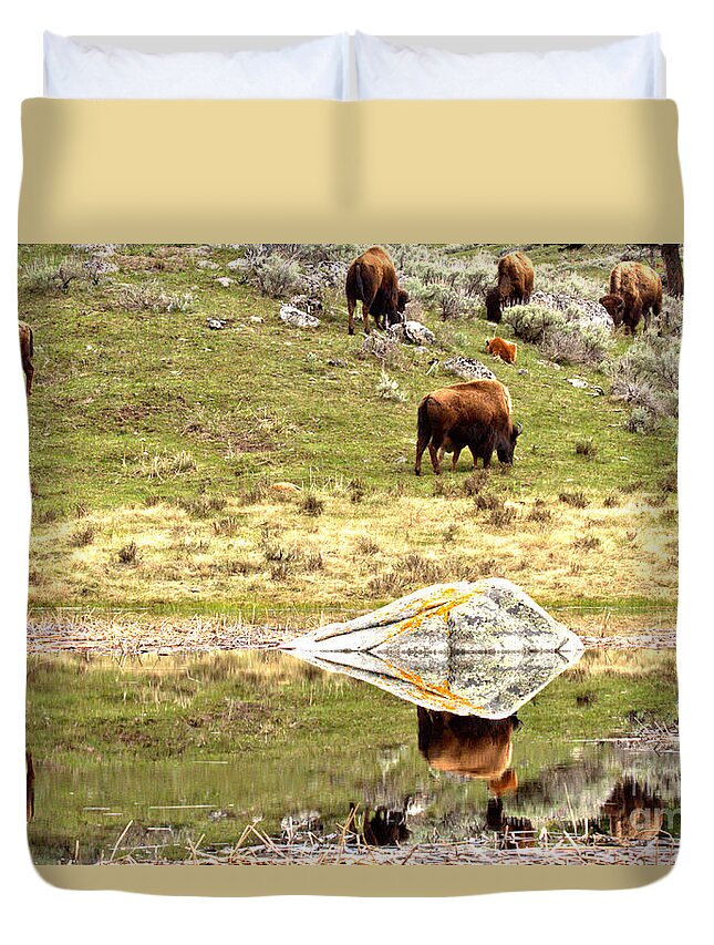 Bison Duvet Cover featuring the photograph Reflections Of The Bison Herd by Adam Jewell