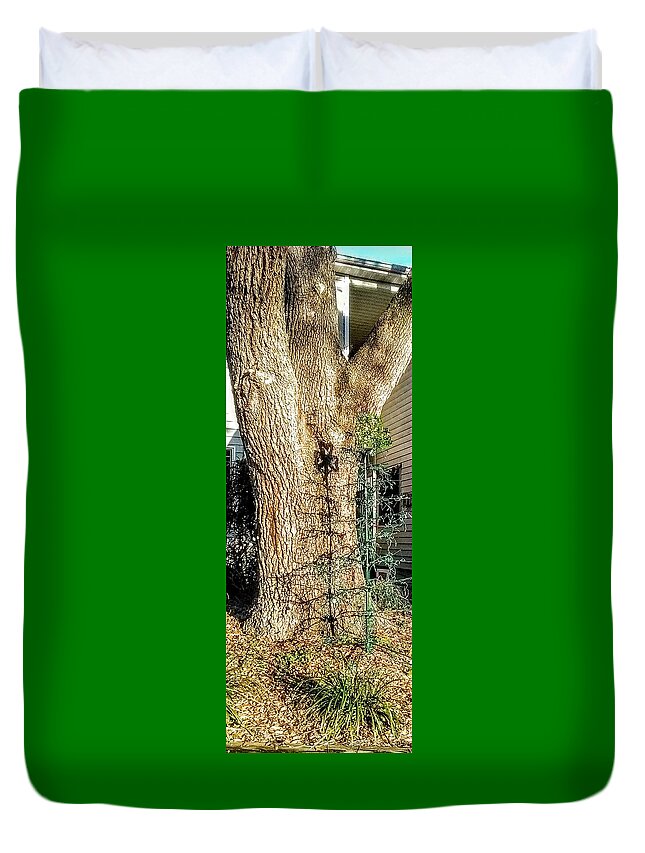 Shamrock Duvet Cover featuring the photograph Reflections by Suzanne Berthier