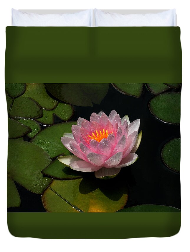 Water Lily Duvet Cover featuring the photograph Refreshing by Doug Norkum