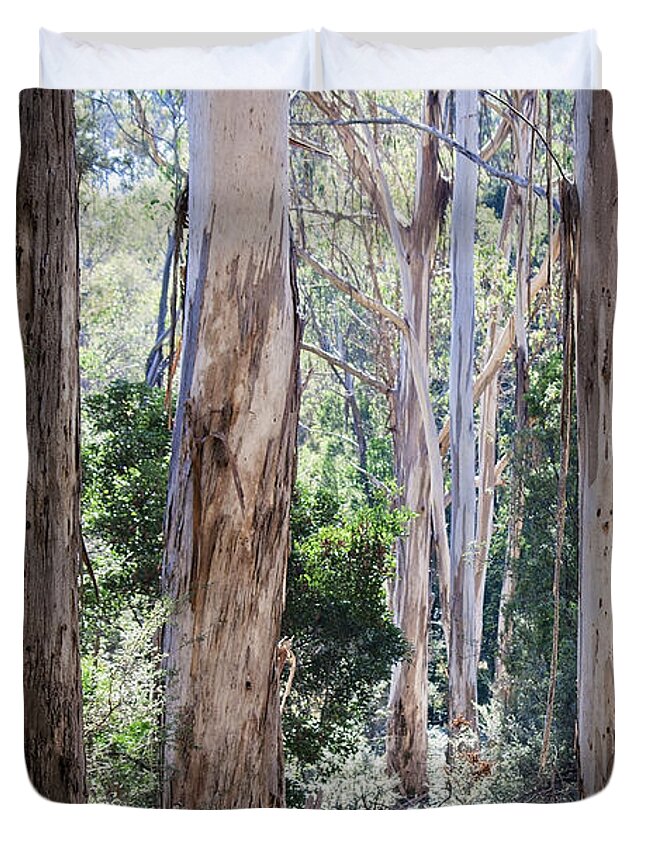 Tree Duvet Cover featuring the photograph Regeneration by Linda Lees