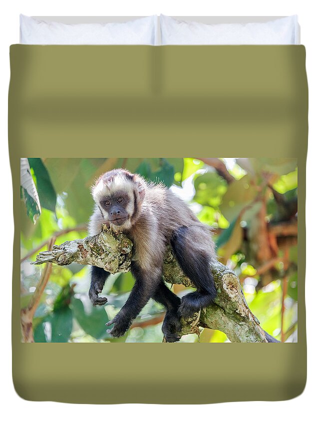 Capuchin Duvet Cover featuring the photograph Relaxing Capuchin Monkey by Jess Kraft