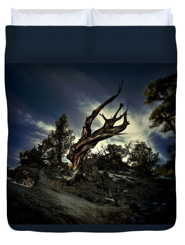 Tree Duvet Cover featuring the photograph Reminder by Mark Ross