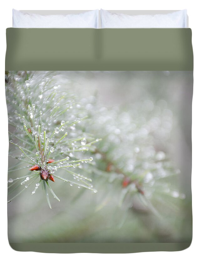 Christmas Duvet Cover featuring the photograph Reminds me of Christmas by Kathy Paynter