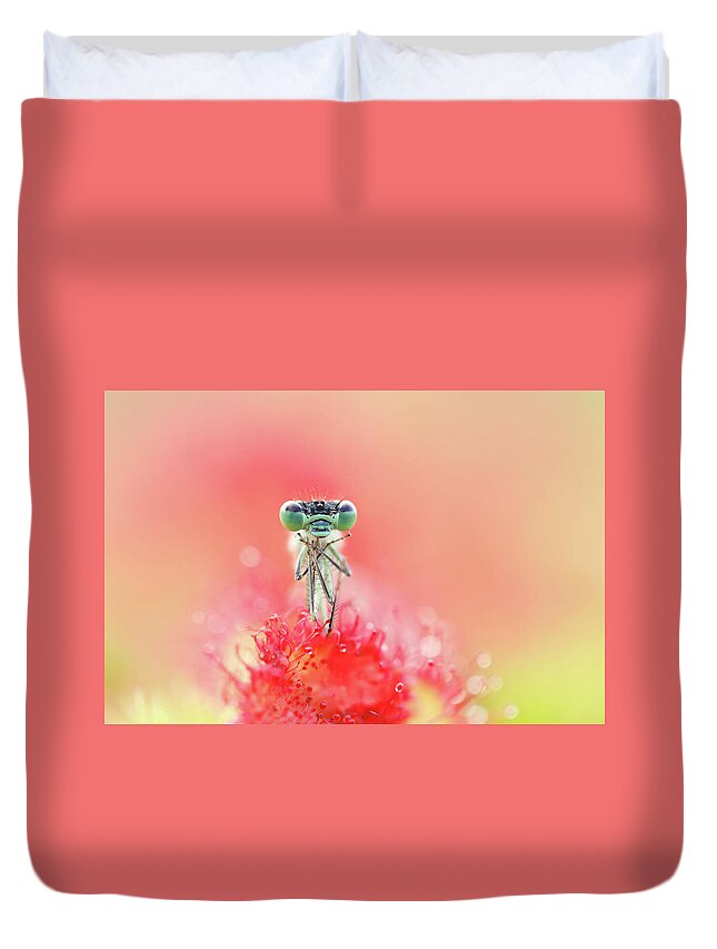 Carnivorous Plants Duvet Covers