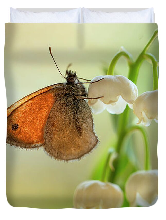 Butterfly Duvet Cover featuring the photograph Rest in the morning sun by Jaroslaw Blaminsky