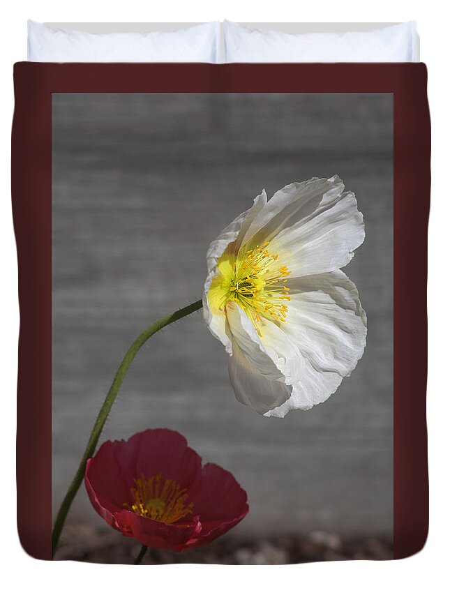 Poppy Duvet Cover featuring the photograph Resting In Your Shade by Morris McClung