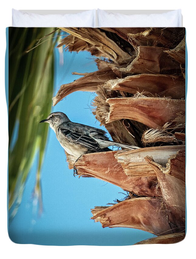 Arizona Duvet Cover featuring the photograph Resting Mockingbird by Robert Bales