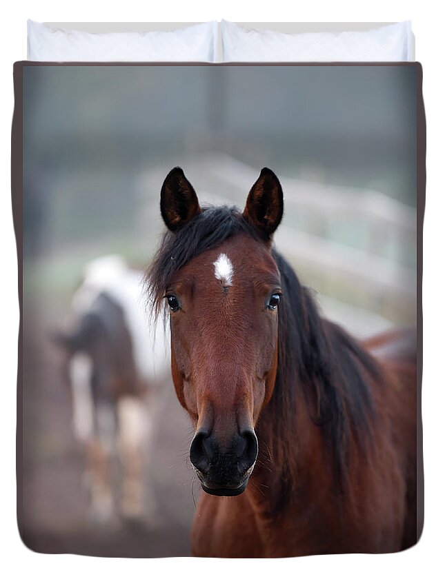 Rosemary Farm Duvet Cover featuring the photograph Aimee by Carien Schippers
