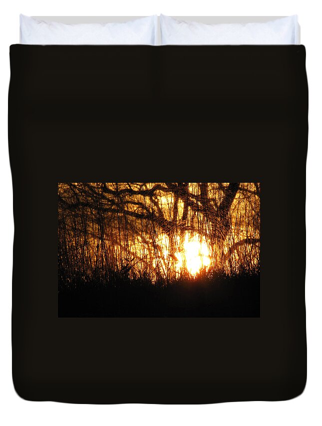 Light Duvet Cover featuring the photograph Ribbons of Light by Amy Tyler