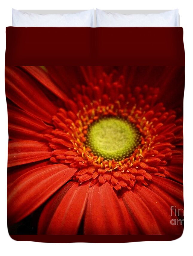 Flower Duvet Cover featuring the photograph Rich Reds by Deena Withycombe