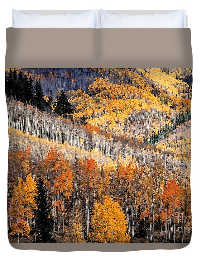 Autumn Colors Duvet Cover featuring the photograph Ridges by Jim Garrison