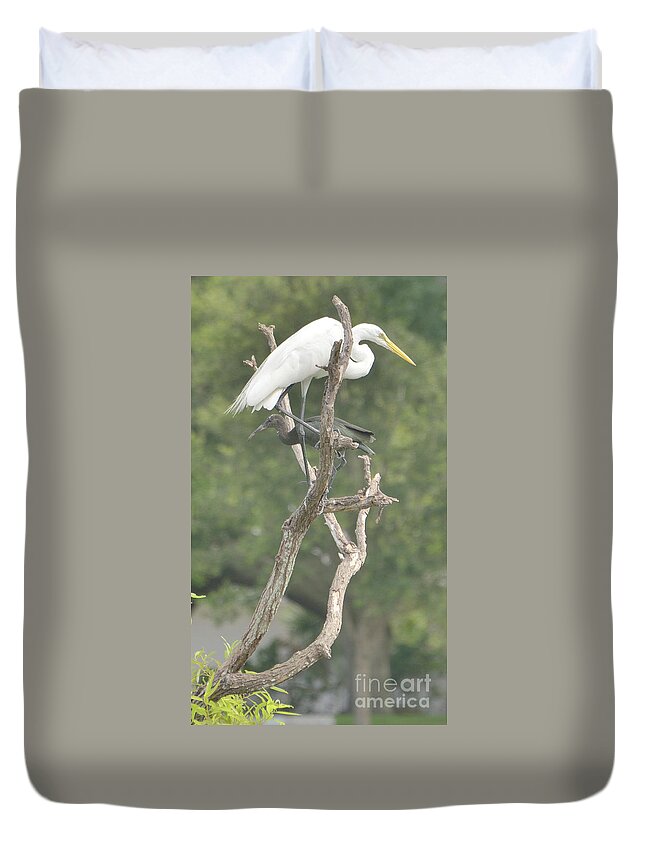 Nature Duvet Cover featuring the photograph Right by Alison Belsan Horton