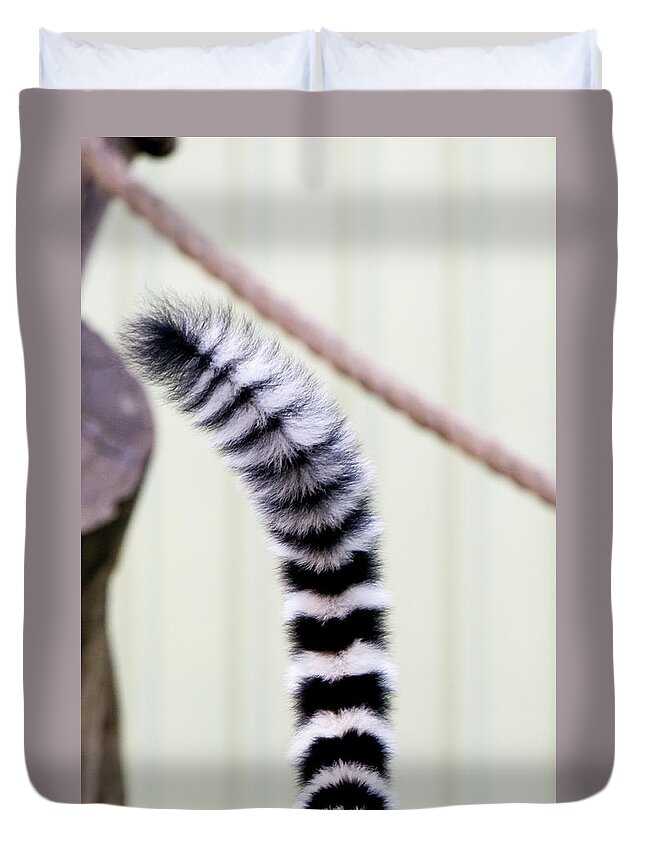 Australia Duvet Cover featuring the photograph Ring Tailed Lemur Tail by Steven Ralser