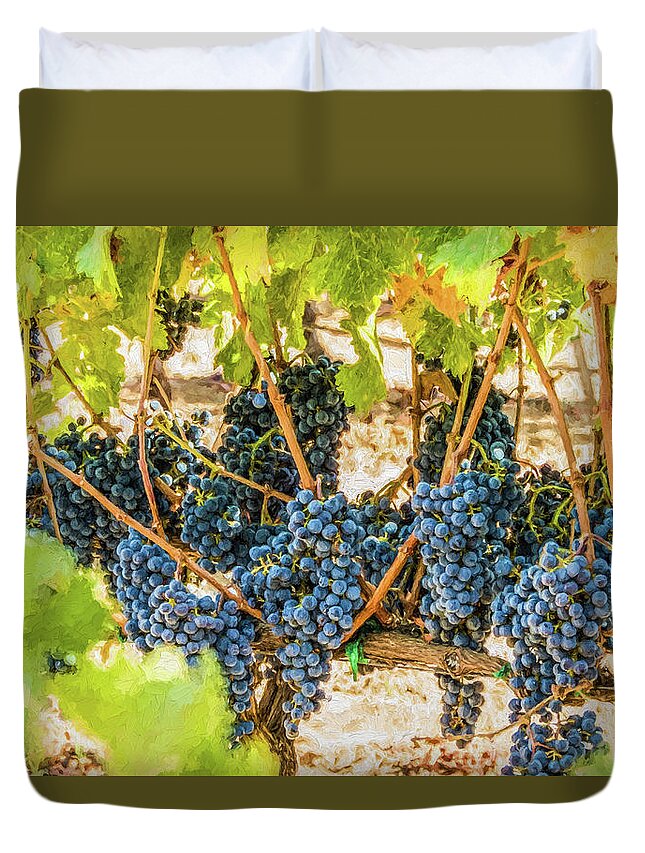 California Duvet Cover featuring the photograph Ripe Grapes on Vine by David Letts