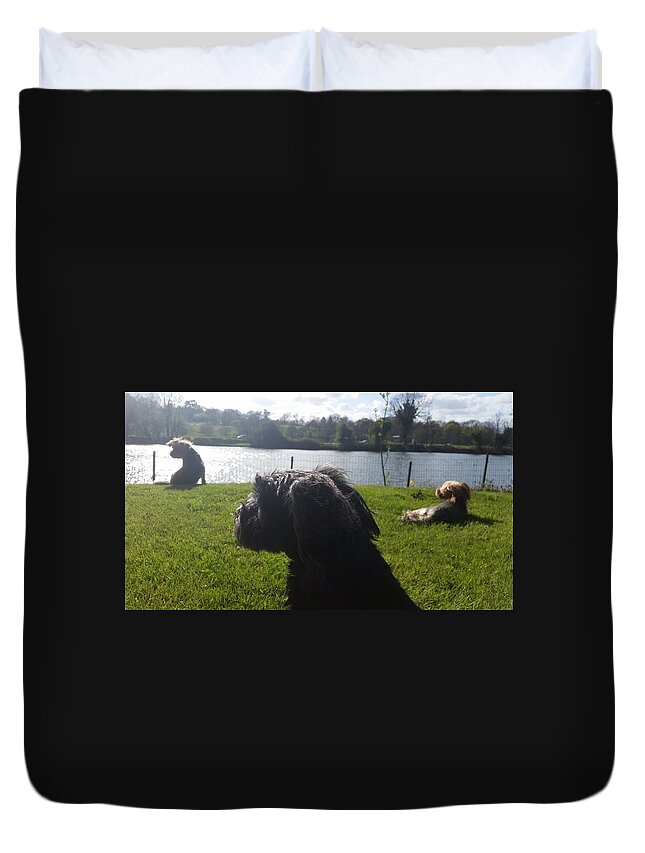 Dog Duvet Cover featuring the photograph River Watch by Rowena Tutty