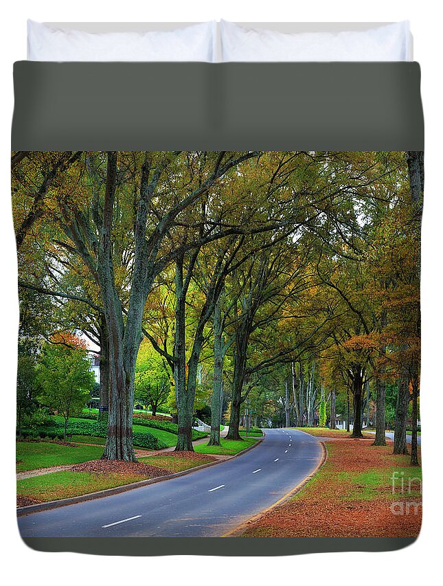 Willow Duvet Cover featuring the photograph Road in Charlotte by Jill Lang