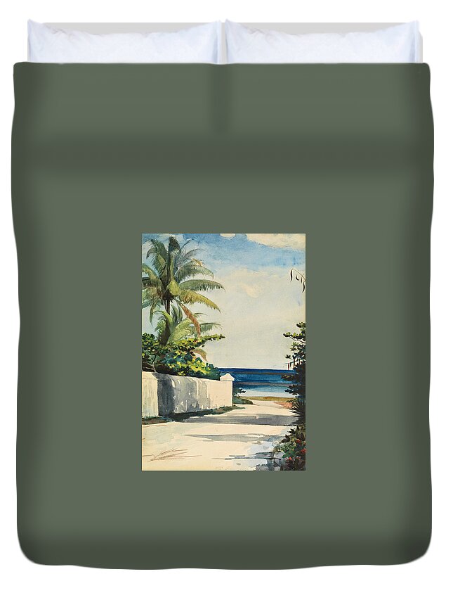 Winslow Homer Duvet Cover featuring the drawing Road in Nassau, No. 1 Nassau Street by Winslow Homer