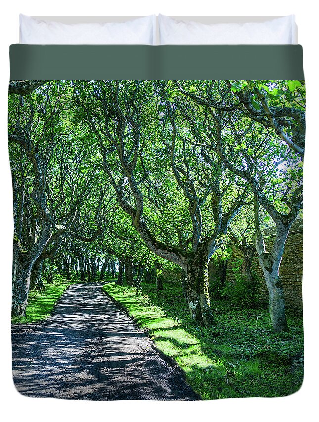 Trees Duvet Cover featuring the photograph Road to Mey by Elvis Vaughn