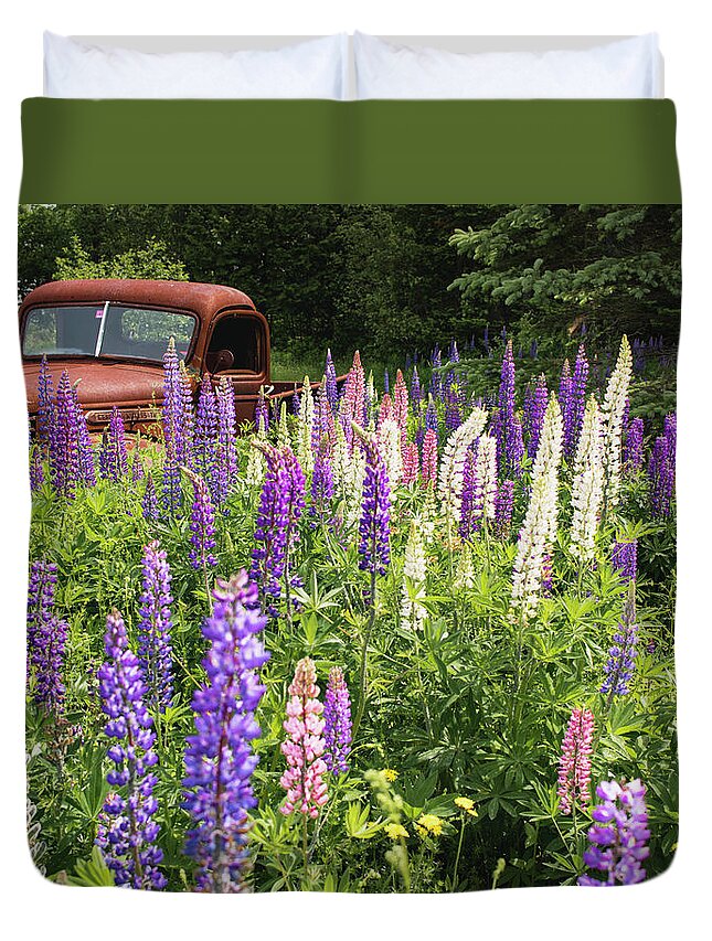 Lupines Duvet Cover featuring the photograph Roadside Attraction by Holly Ross