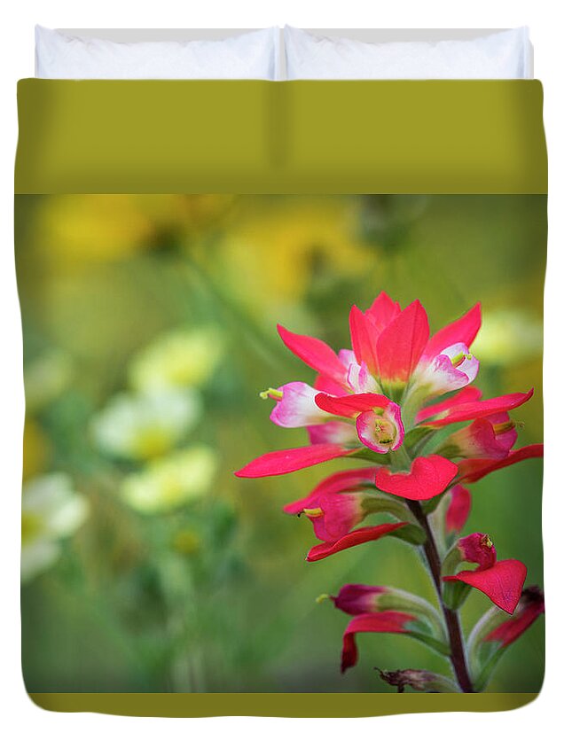Flowers Duvet Cover featuring the photograph Roadside Paintbrush by Robert Potts
