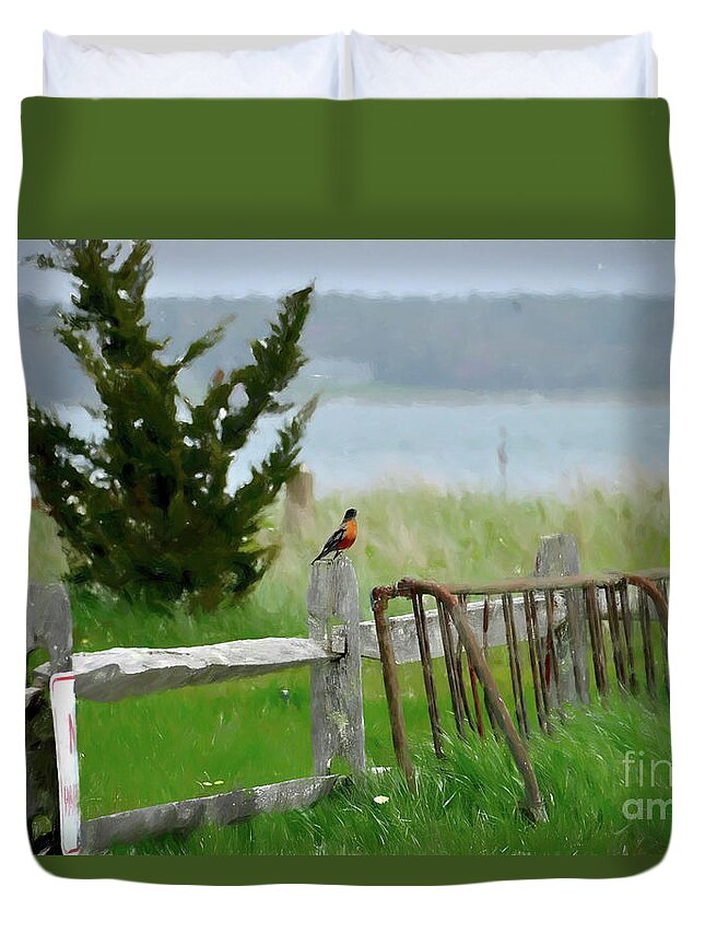 Landscape Duvet Cover featuring the photograph Robin by Alison Belsan Horton