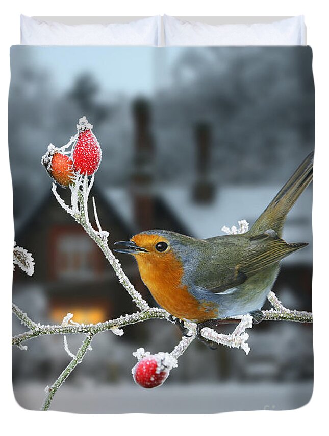 European Robin Duvet Cover featuring the photograph Robin and rose hips by Warren Photographic