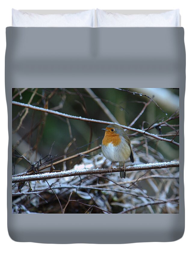 Robin Duvet Cover featuring the photograph Robin As Winter Begins by Adrian Wale