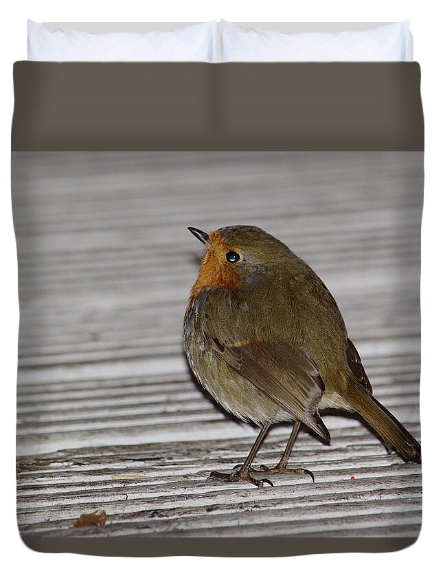 Robin Duvet Cover featuring the photograph Robin At Deli Door by Adrian Wale