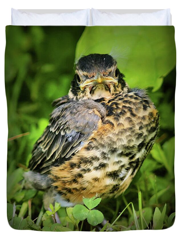 Robin Duvet Cover featuring the photograph Robin Fledgling by Smilin Eyes Treasures