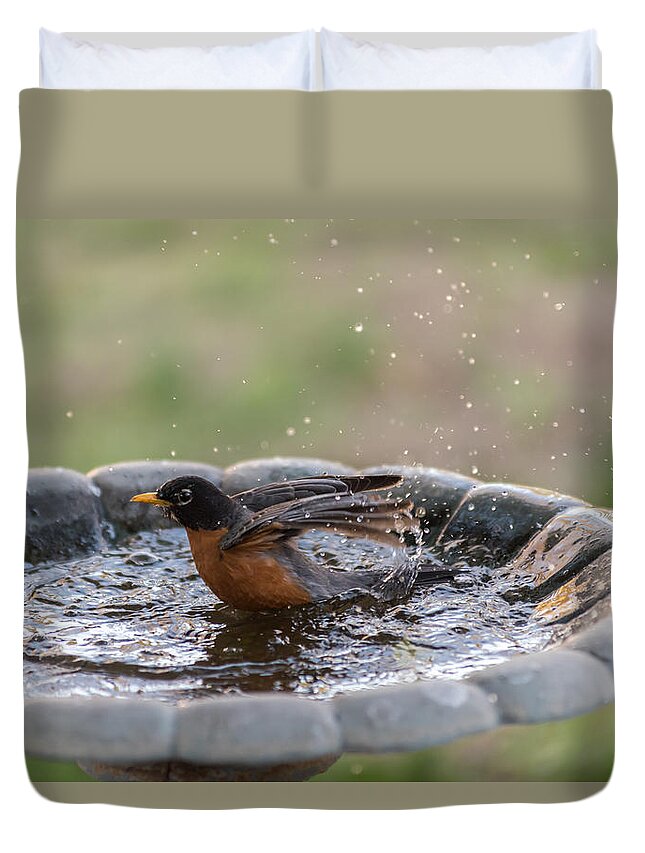 Robin In Bird Bath New Jersey Duvet Cover For Sale By Terry Deluco