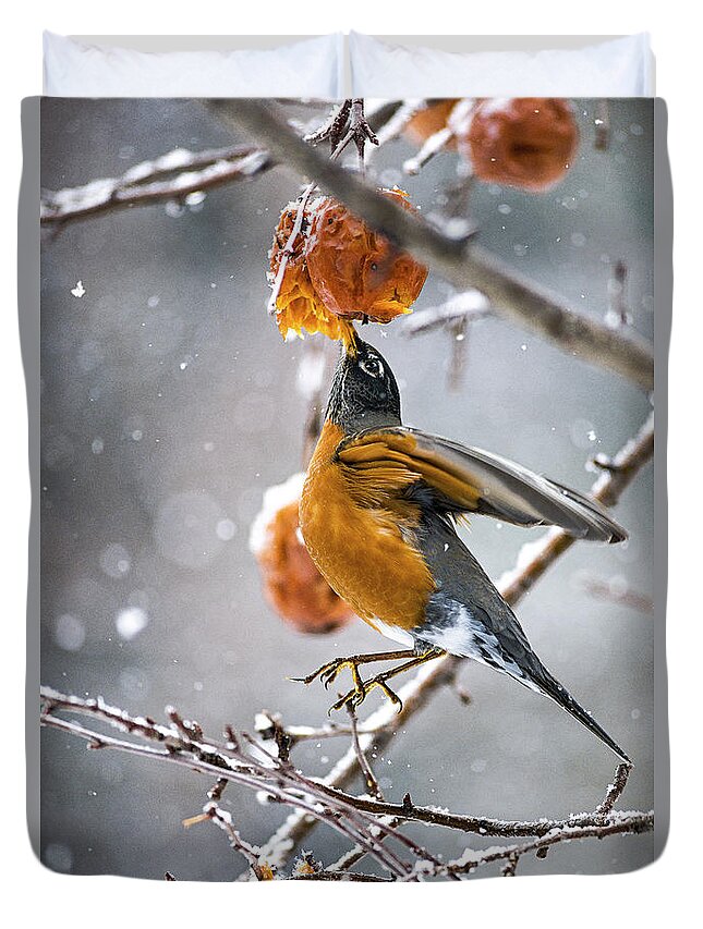 Robin Red Breast Duvet Cover featuring the photograph Robin Hanging In There by Marty Saccone
