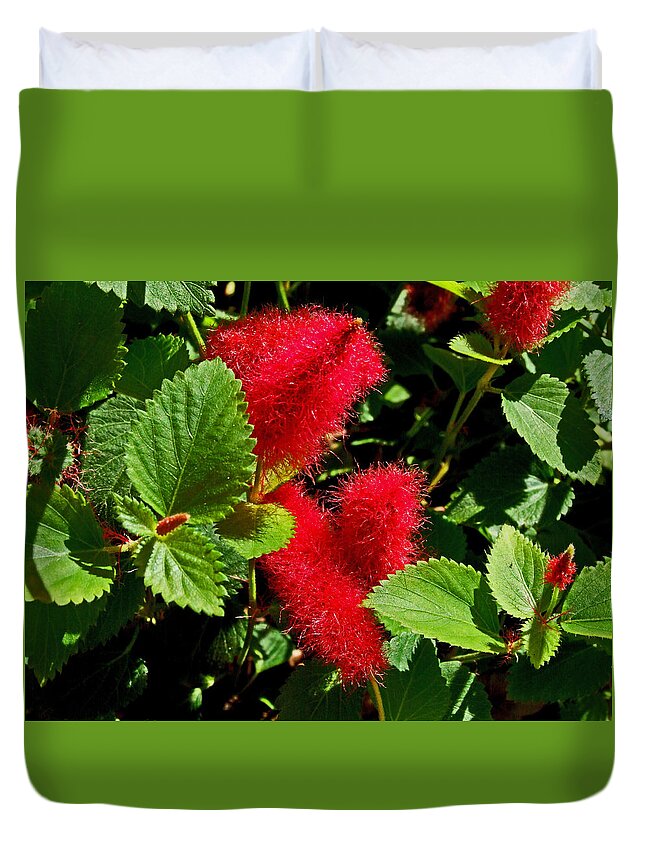 Bottle Brush Duvet Cover featuring the photograph Robust Red by Michiale Schneider