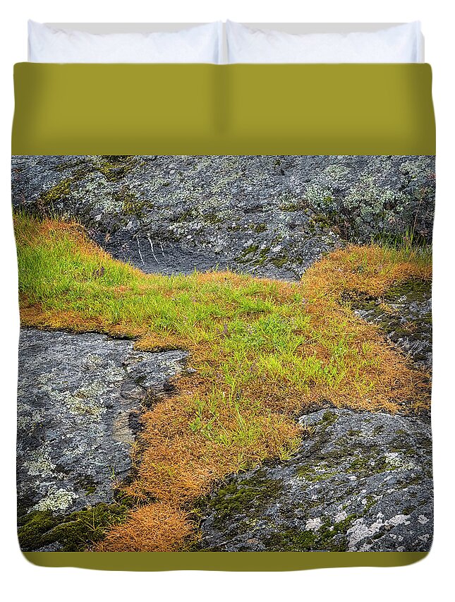 Oregon Coast Duvet Cover featuring the photograph Rock And Grass by Tom Singleton