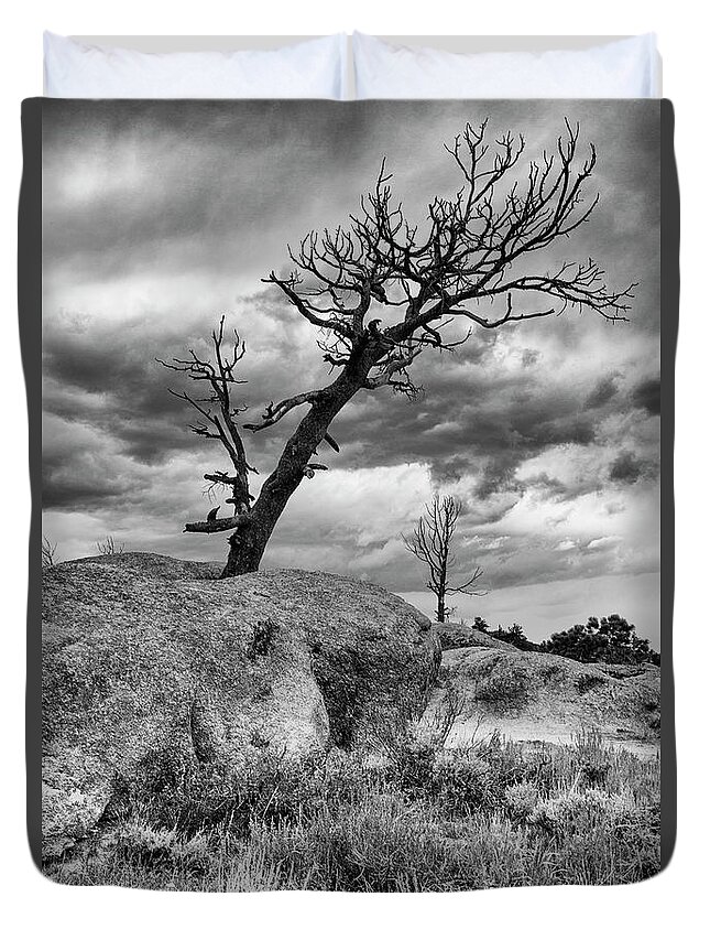 Black And White Duvet Cover featuring the photograph Rock Tree by Nancy Dunivin