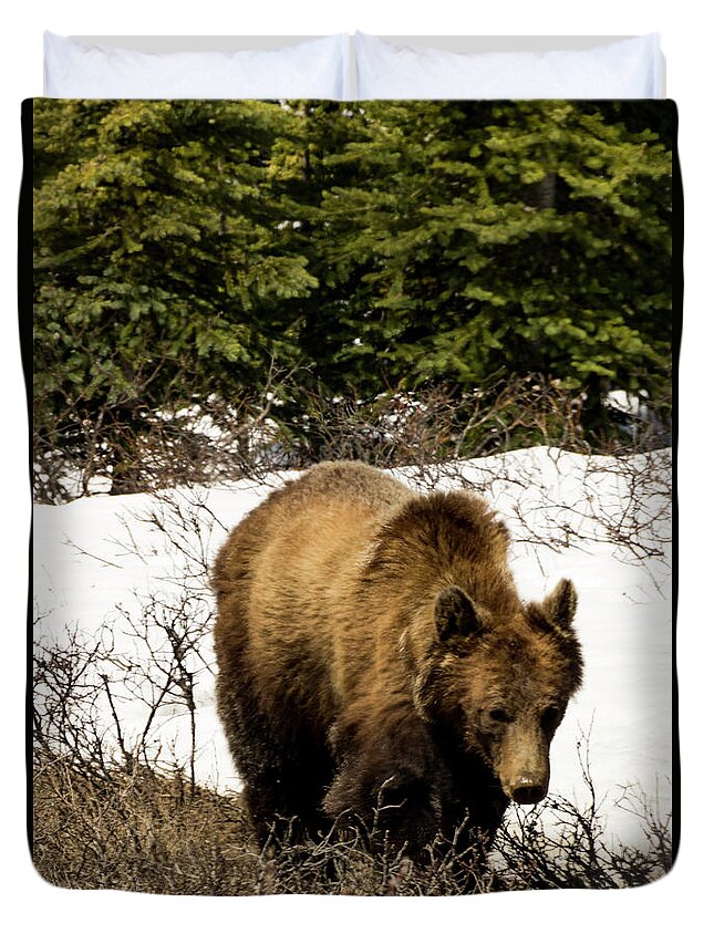 Bear Duvet Cover featuring the photograph Rockies Grizzly by Louise Magno