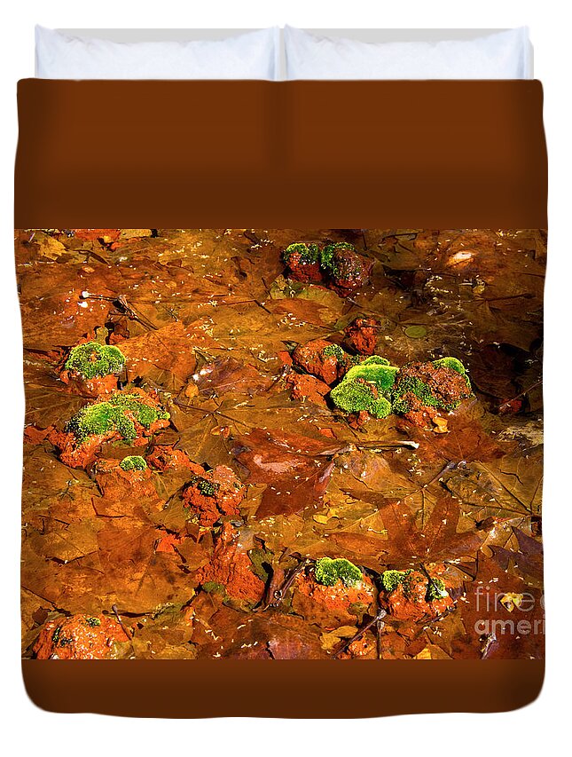 2015 Duvet Cover featuring the photograph Rocks, Leaves, Moss and Water by Peter Kneen