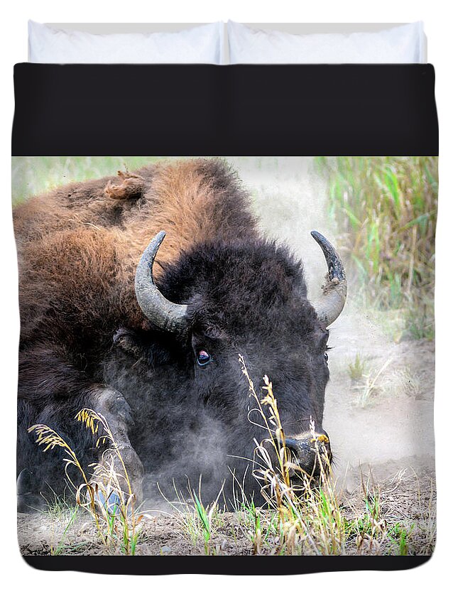 Bison Duvet Cover featuring the photograph Rollin' in the Dirt by John Greco