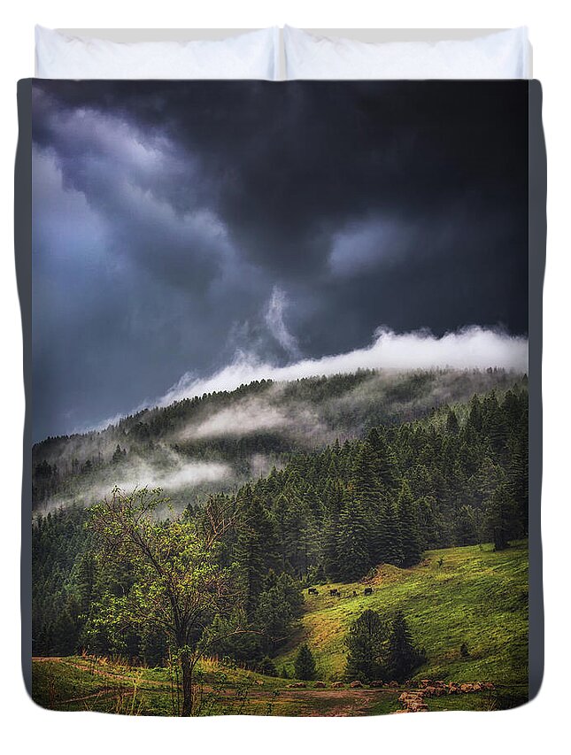 Nature Duvet Cover featuring the photograph Rolling Through the Trees by Jason Roberts