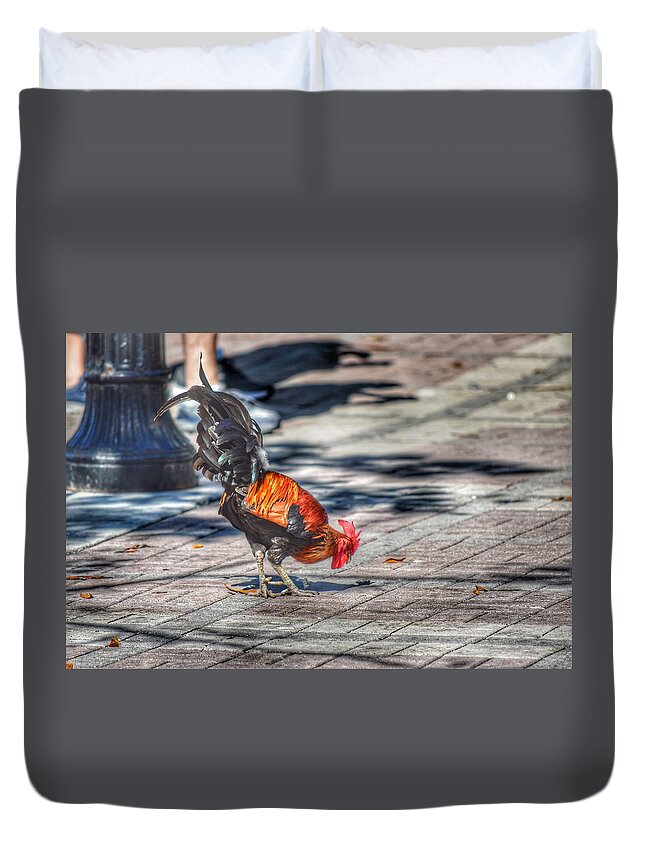 Rooster Duvet Cover featuring the photograph Rooster's Shadow by Joseph Caban