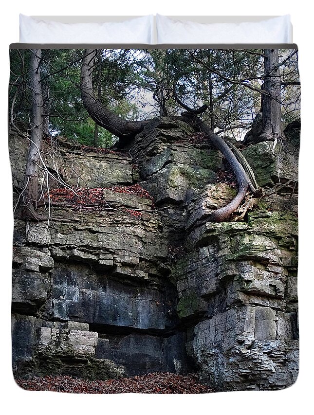 Niagara Escarpment Duvet Cover featuring the photograph Rooted in the Cliff by David T Wilkinson