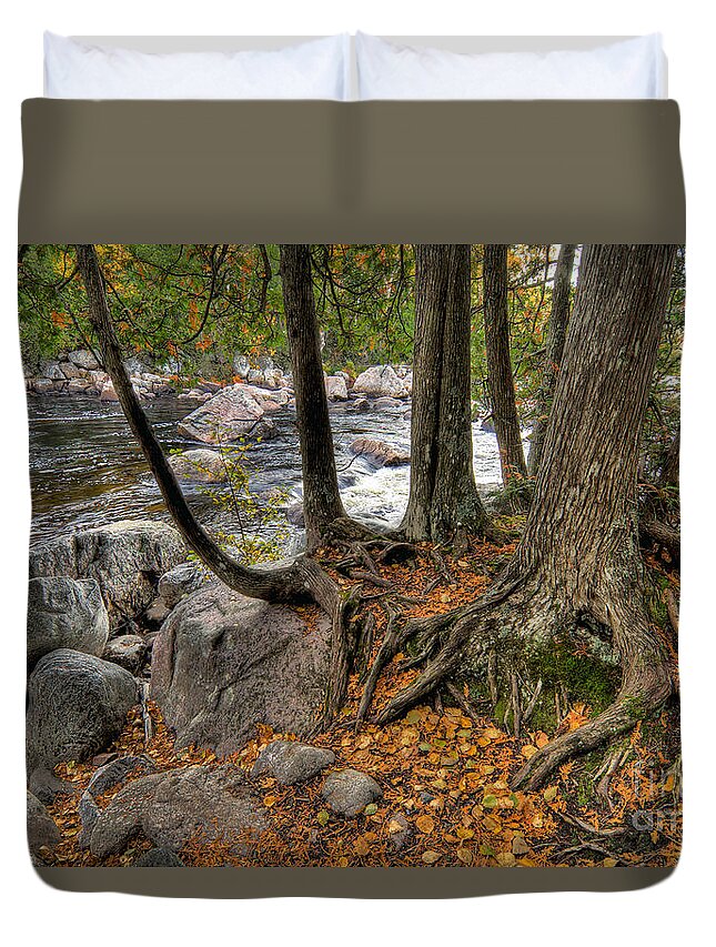 Canada Duvet Cover featuring the photograph Roots by Doug Gibbons