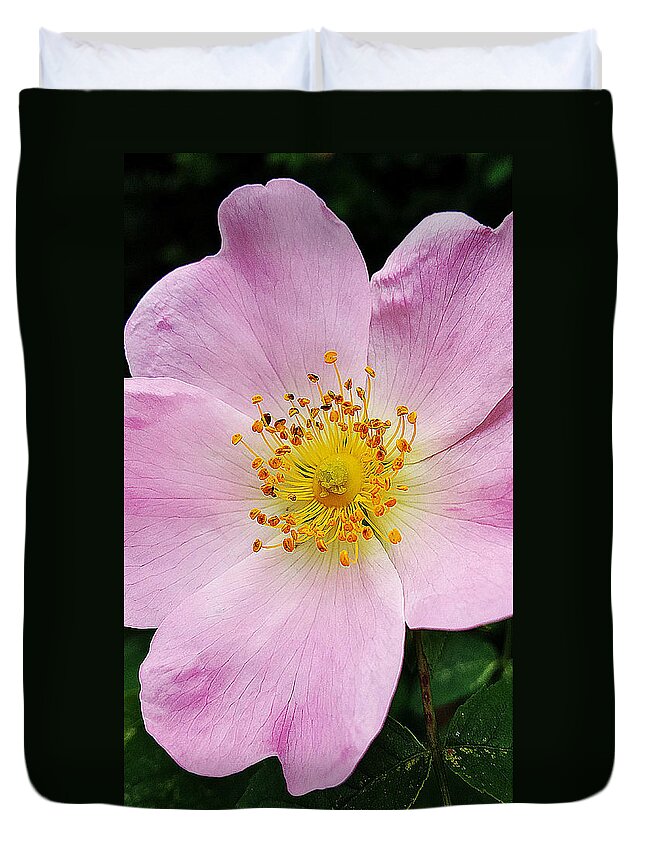 Close-up Duvet Cover featuring the photograph Rose and Sun by Felicia Tica