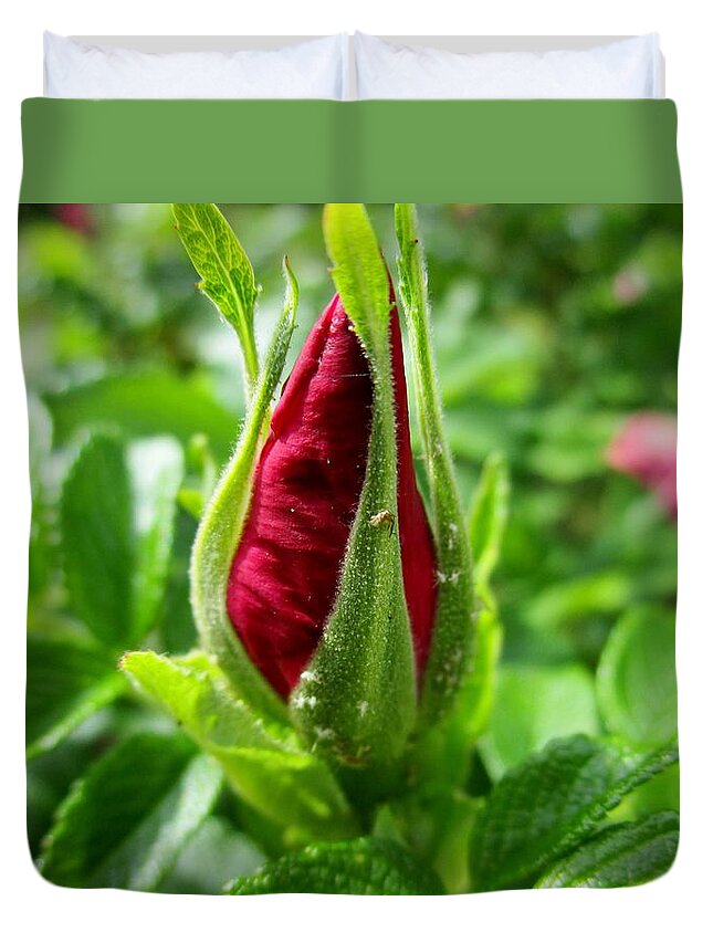 Rosehip Duvet Cover featuring the photograph Rose bud by Rosita Larsson