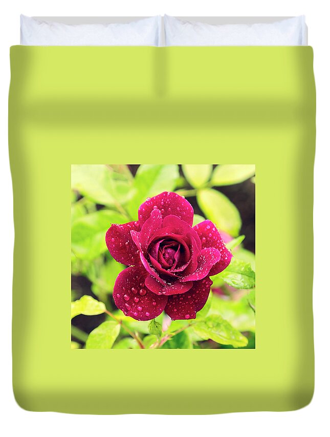 Rose Duvet Cover featuring the photograph Rose in the Rain by Catherine Reading