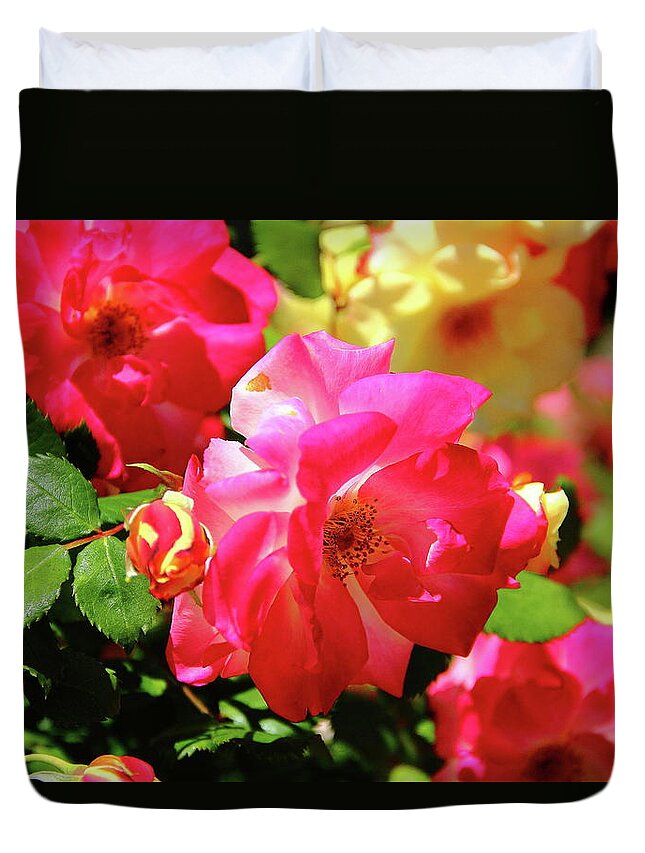 Roses Duvet Cover featuring the photograph Rose Medley by Allen Nice-Webb