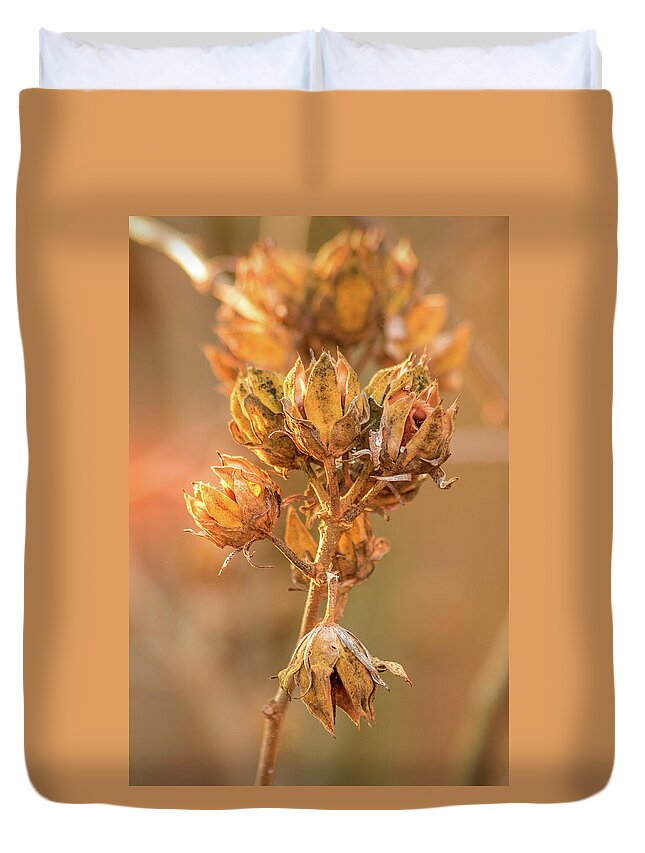 Rose Duvet Cover featuring the photograph Rose of Sharon in Winter by Allin Sorenson