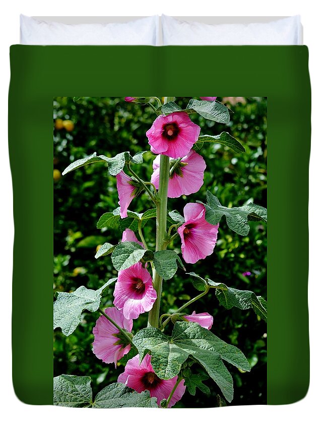 Rose Duvet Cover featuring the photograph Rose of Sharon Vine by Eileen Brymer
